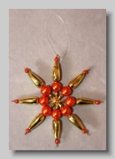 Stern orange gold (IMG_9595_02)